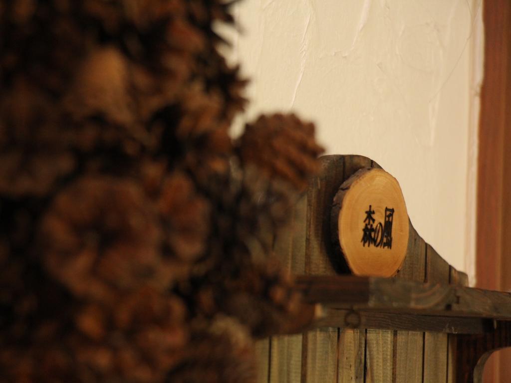 Pension Morinokaze Hakuba Exteriér fotografie